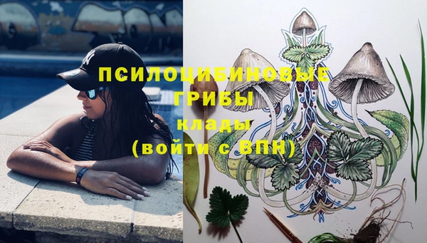 ПСИЛОЦИБИНОВЫЕ ГРИБЫ Алексеевка