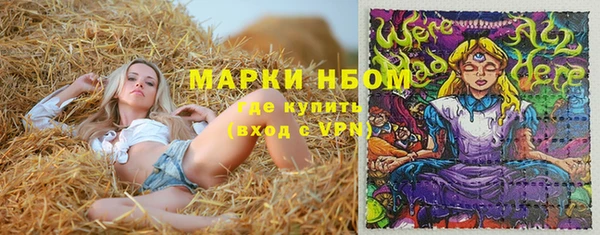 прущие грибы Алексин