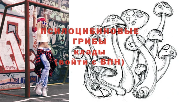 ПСИЛОЦИБИНОВЫЕ ГРИБЫ Алексеевка