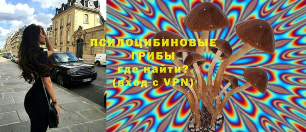 дживик Алзамай