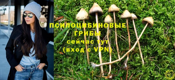 дживик Алзамай