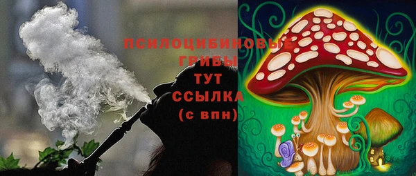 дживик Алзамай