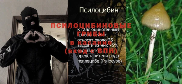 прущие грибы Алексин