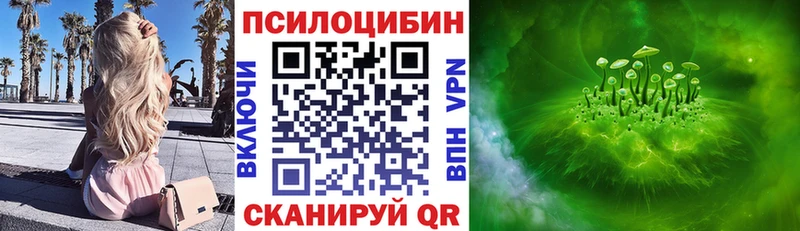 Псилоцибиновые грибы Psilocybe Кирс