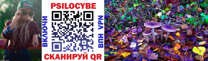 omg как зайти  нарко площадка наркотические препараты  Псилоцибиновые грибы прущие грибы  Кирс 